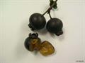 Mycianthes pungens